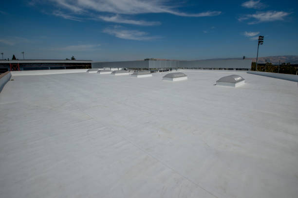 Best Asphalt Shingle Roofing  in Bayport, MN