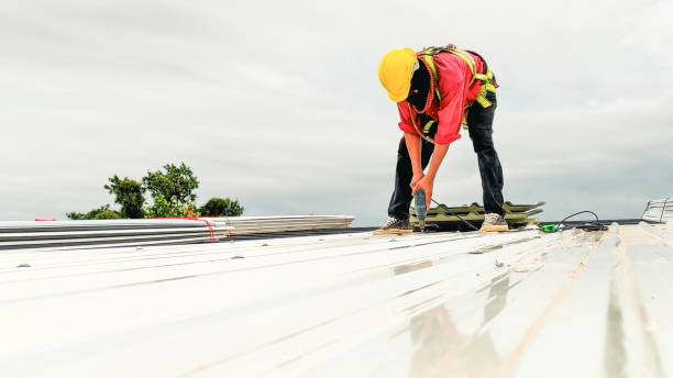 Best Roof Insulation Installation  in Bayport, MN