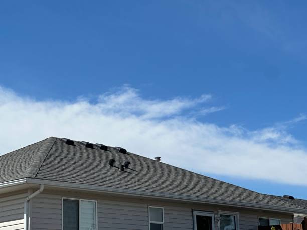 Best Slate Roofing  in Bayport, MN