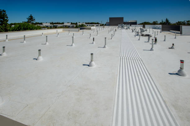 Best Roof Ventilation Installation  in Bayport, MN